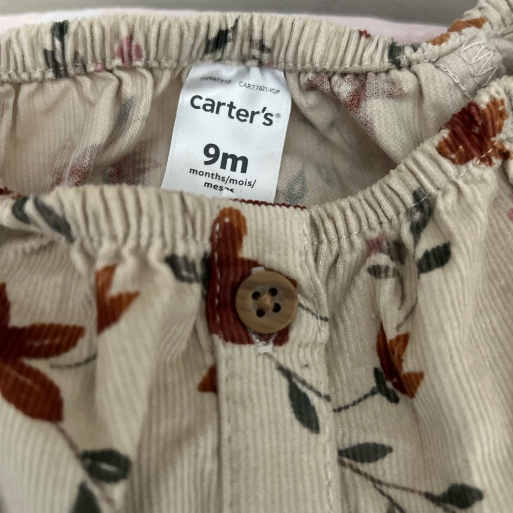 Infant Onesies 9 months